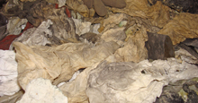 resof_absorventescontaminados.jpg